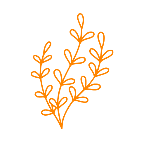 Image pour Nénuphar divers