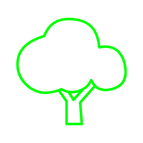 Image pour Bois de tambour
