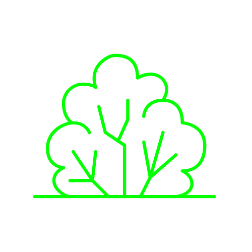 Image pour Bois de sable