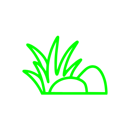 Image pour Saliette