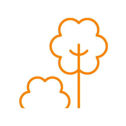 Image pour Arbre à orchidées