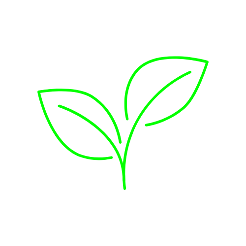 Plante